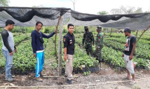 KEPALA RESORT AIR HIAM BAGAN LIMAU MONITORING PERKEMBANGAN PROGRAM PE DI DESA AIR HITAM