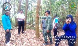 INSPEKTORAT KEMENTERIAN LHK KUNJUNGI DAN BINA KEGIATAN RHL TN TESSO NILO SELUAS 1000 HA