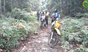 TIM SPTN WILAYAH I LKB BALAI TN TESSO NILO BERSAMA YTNTN MELAKSANAKAN PATROLI SATWA DILINDUNGI