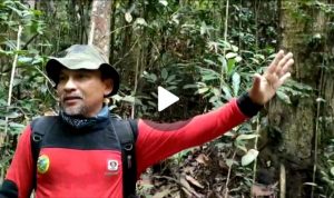PATROLI PENGAMANAN HUTAN PETUGAS TN TESSO NILO DI SPTN WILAYAH II BASERAH