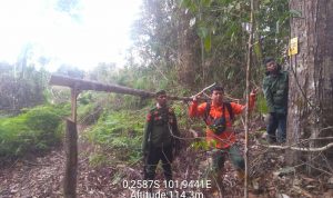 PIKET PENJAGAAN HUTAN ALAM DI DUA RESORT, KEWASAN DALAM KONDISI AMAN