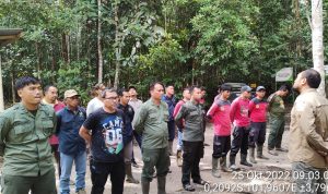 BERANTAS ILLEGAL LOGING, PETUGAS TN TESSO NILO TERUS PANTAU AKTIFITAS DI KAWASAN